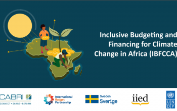 KEYNOTE PAPER: The Integration of Climate Change into Budgeting and Finance